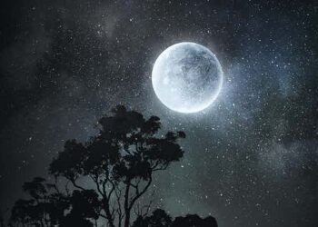 ཟླ་བ་བརྒྱད་པ།