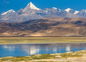 ࿑མཆེད་གྲོགས།