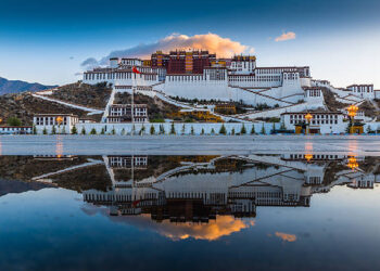 བོད་རྒྱལ་ཁབ་སླར་གསོའི་ལས་འགུལ་ལ་ཕྱིར་མིག